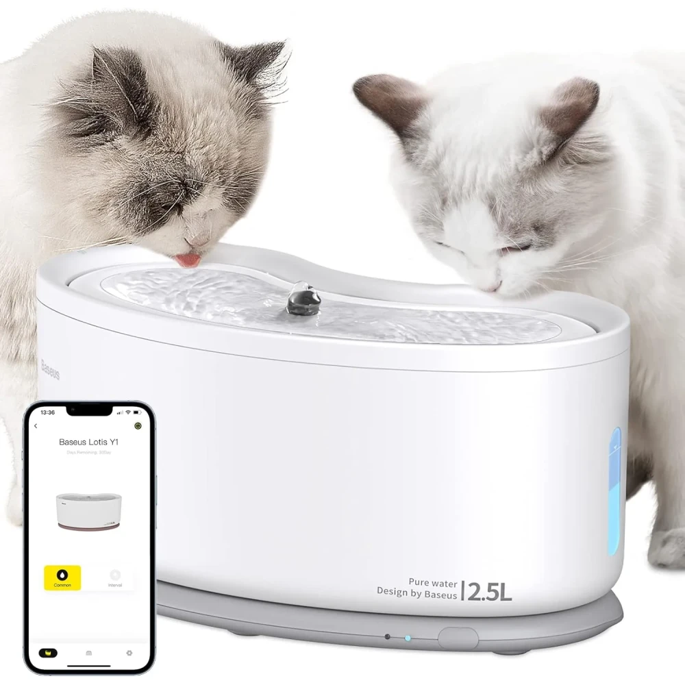 Baseus Cat Hair Vacuum Water Dry Car Vacuum